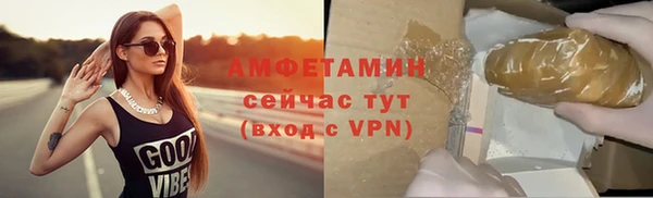 молекула духа Алексеевка
