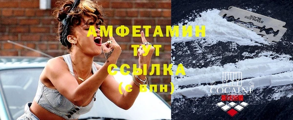 молекула духа Алексеевка