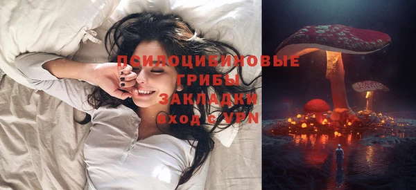 2c-b Алзамай