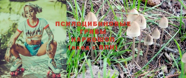 2c-b Алзамай