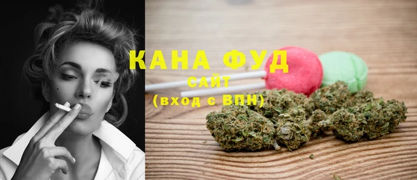 молекула духа Алексеевка