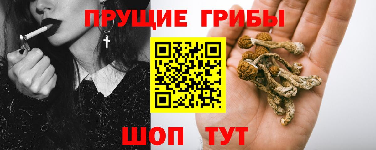 Галлюциногенные грибы GOLDEN TEACHER Нефтекамск